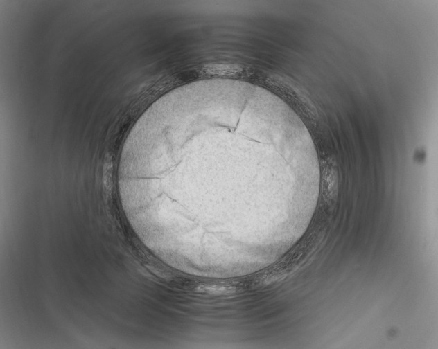 X0000116640745201001251135