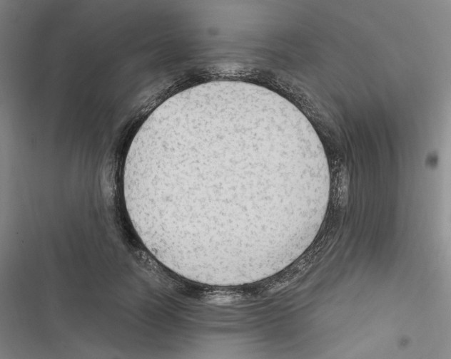 X0000116640746201001251135