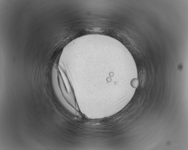 X0000116640747201001251135