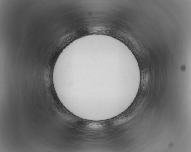 X0000116640749201001251135