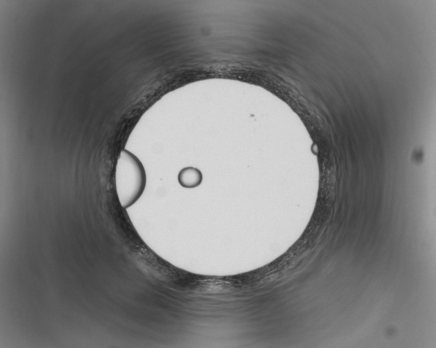 X0000116640750201001251135