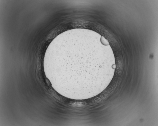 X0000116640751201001251135