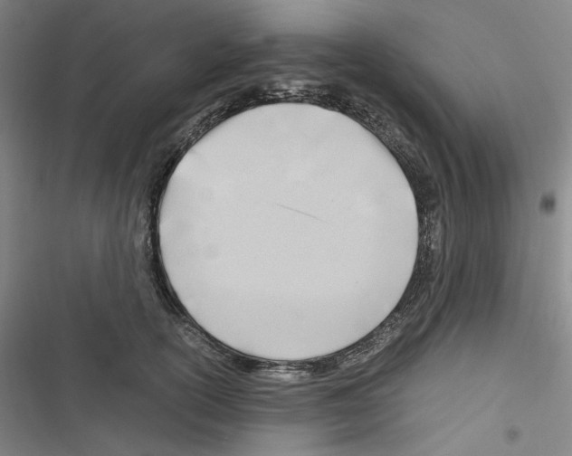 X0000116640754201001251135