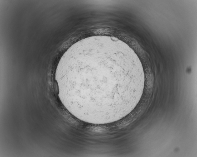 X0000116640755201001251136