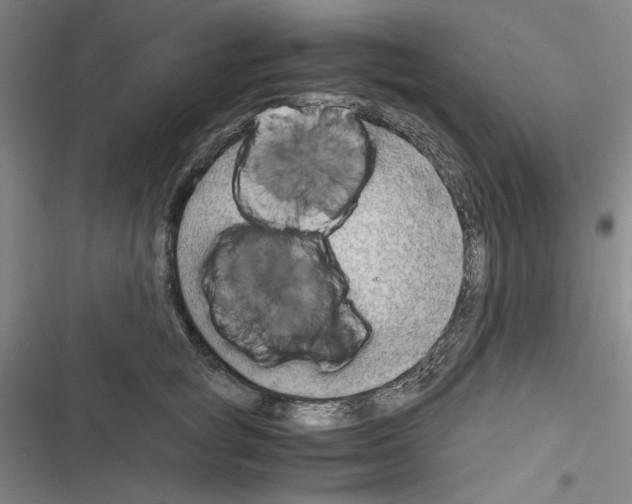 X0000116640757201001251136