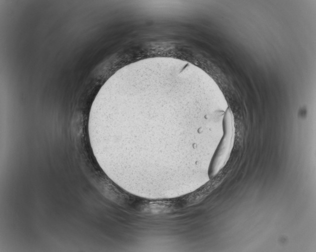 X0000116640758201001251136