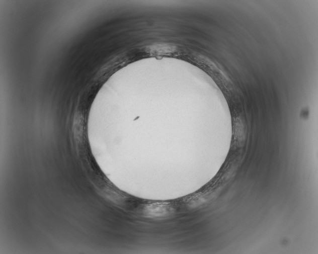 X0000116640761201001251136