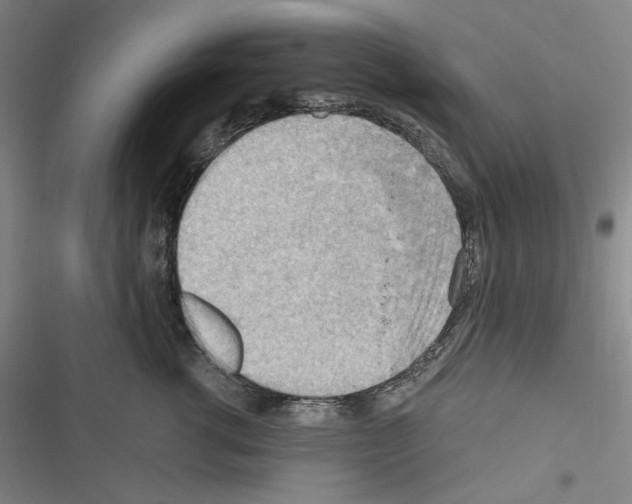 X0000116640762201001251136