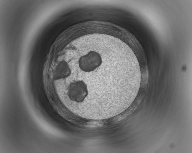 X0000116640765201001251136