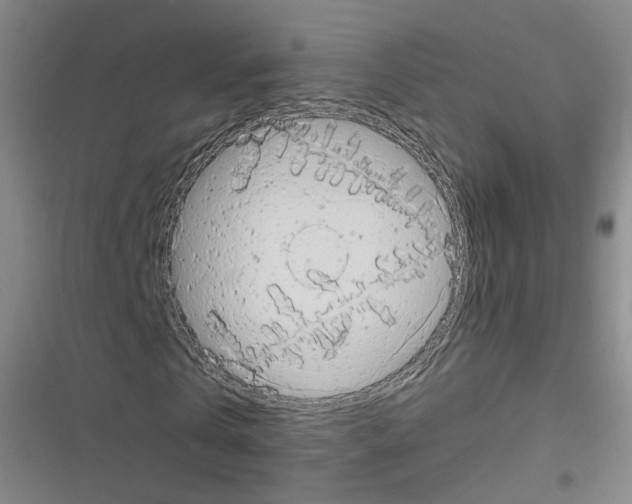 X0000116640769201001251135