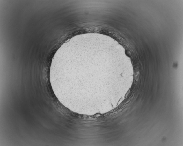 X0000116640772201001251135