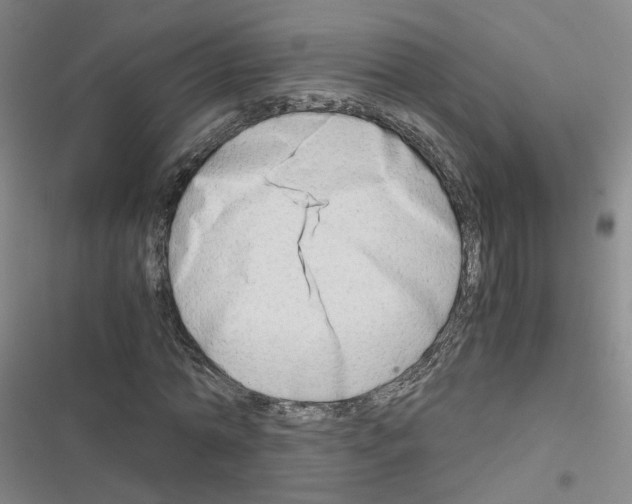 X0000116640774201001251135