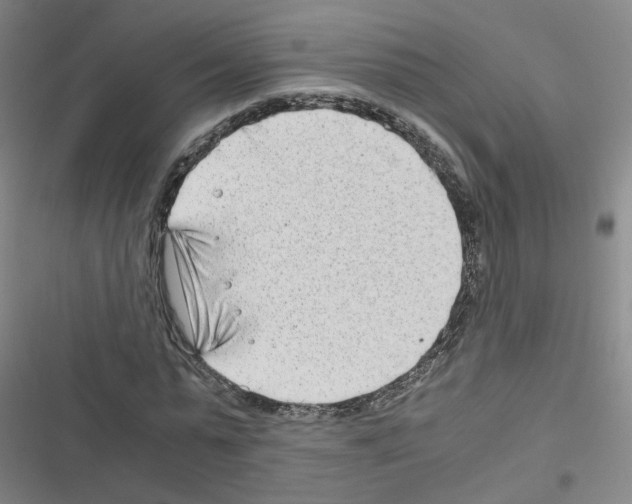 X0000116640775201001251135