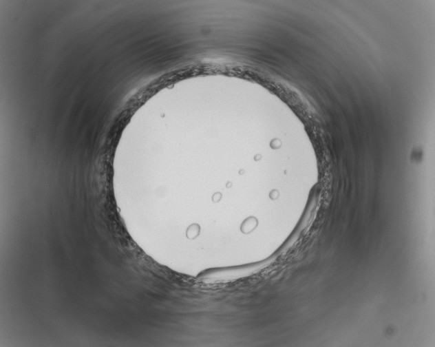 X0000116640776201001251135