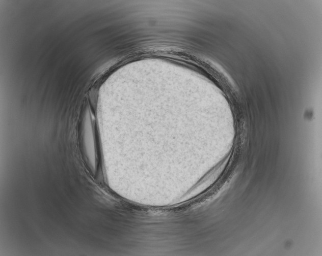 X0000116640777201001251135