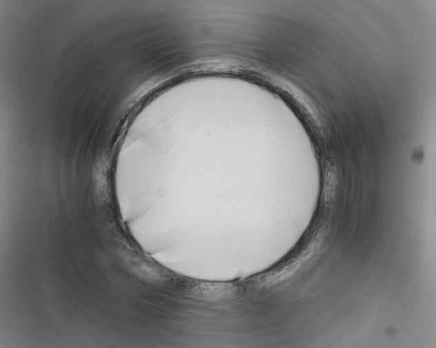 X0000116640778201001251135