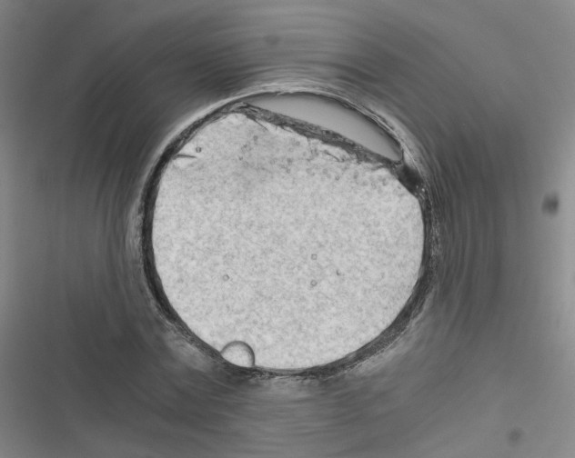 X0000116640779201001251135