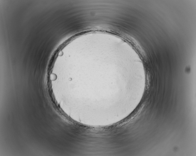 X0000116640780201001251135