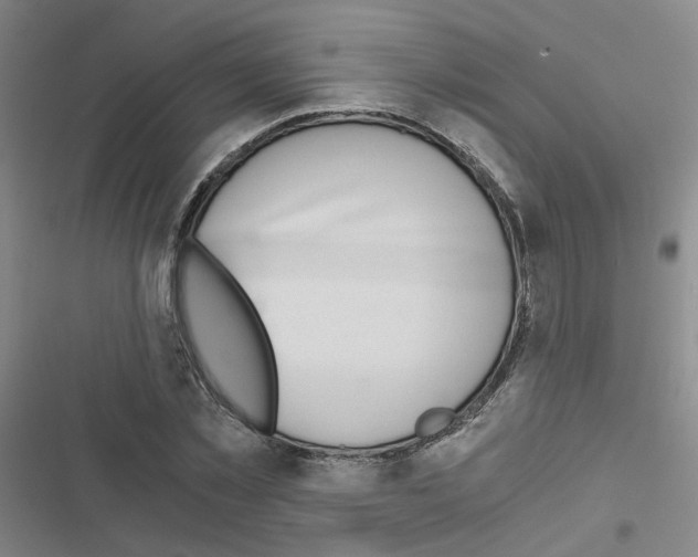 X0000116640781201001251135