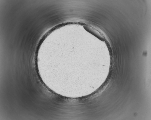 X0000116640783201001251135