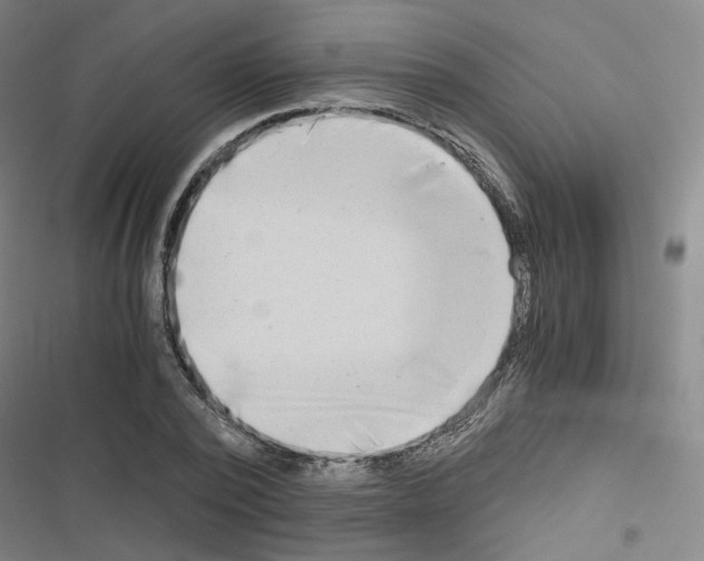 X0000116640784201001251135