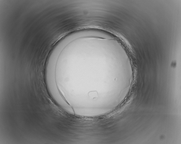 X0000116640785201001251135