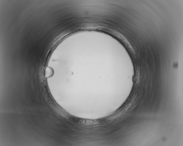 X0000116640786201001251135