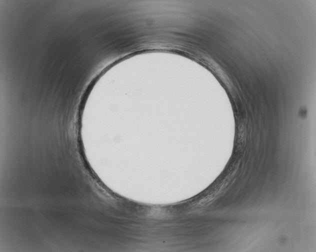 X0000116640787201001251135