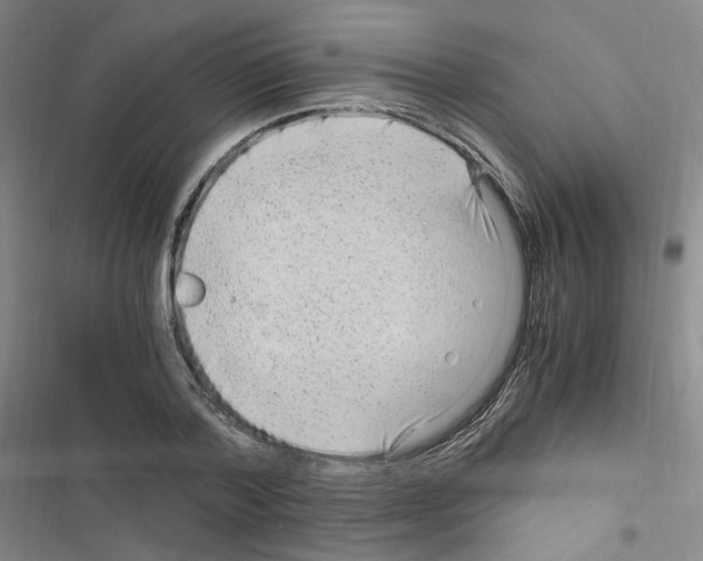 X0000116640788201001251135