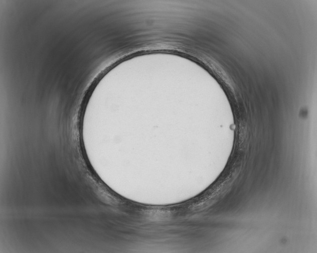 X0000116640789201001251135