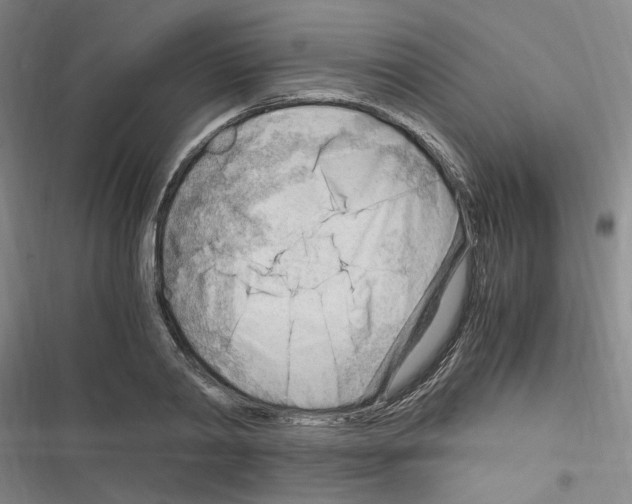 X0000116640790201001251135