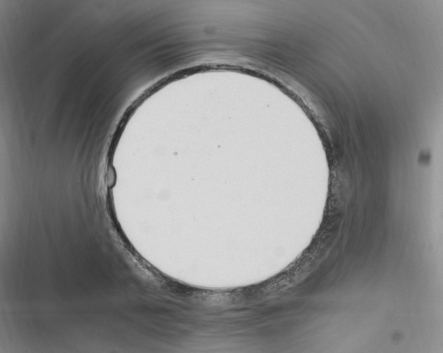 X0000116640791201001251135