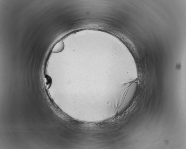 X0000116640792201001251135