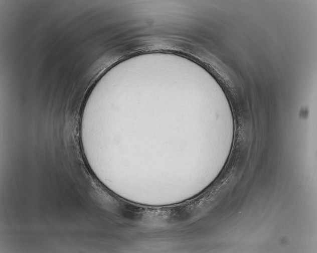 X0000116640793201001251135