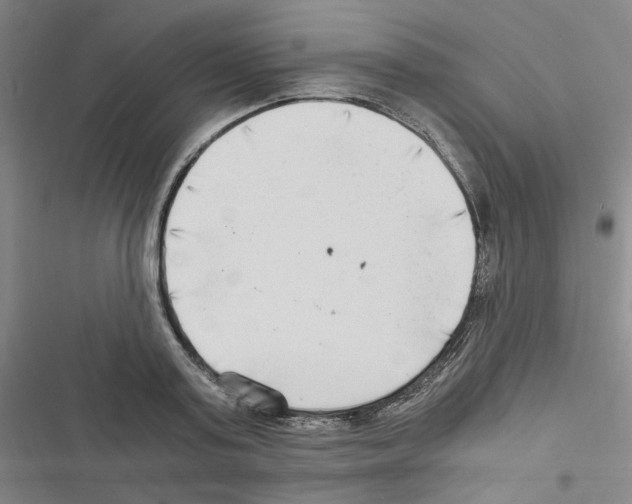 X0000116640795201001251135