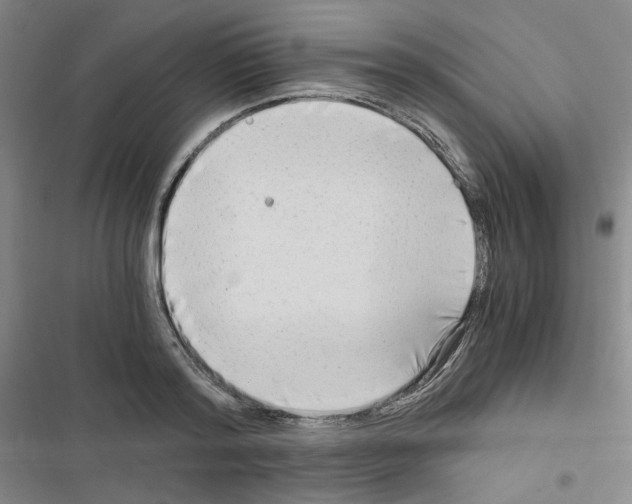 X0000116640796201001251135