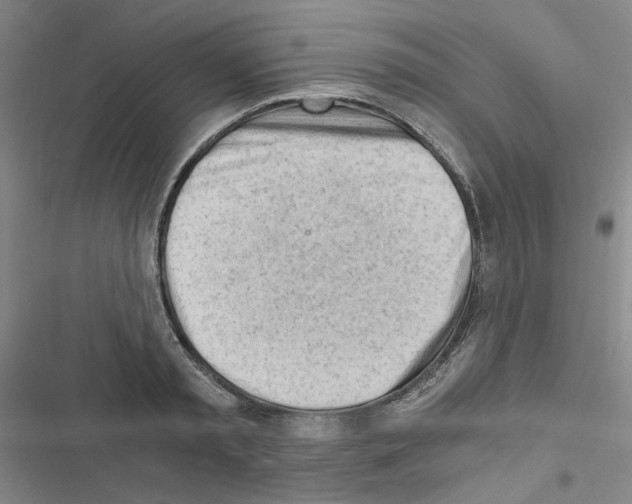 X0000116640797201001251135