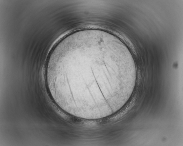 X0000116640798201001251135