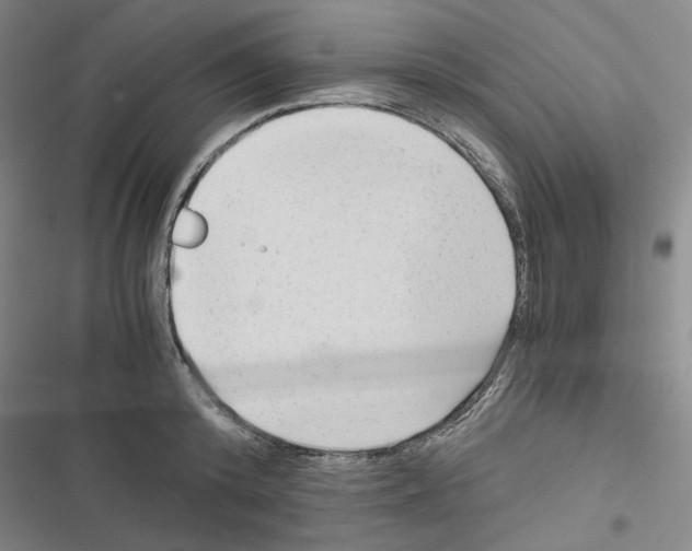 X0000116640800201001251135