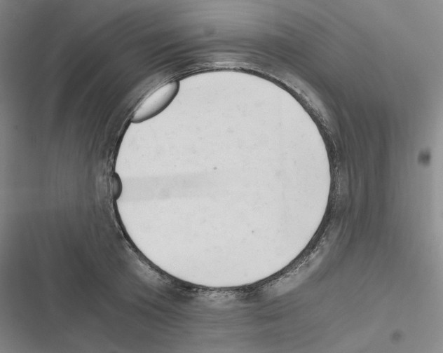 X0000116640801201001251135