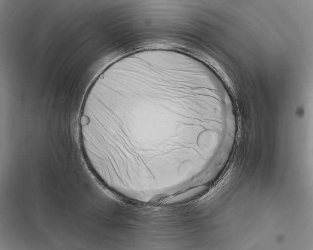 X0000116640802201001251135