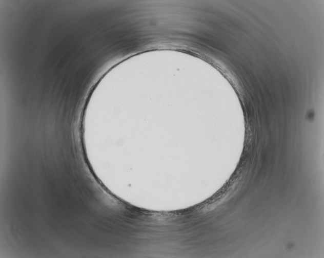 X0000116640803201001251135