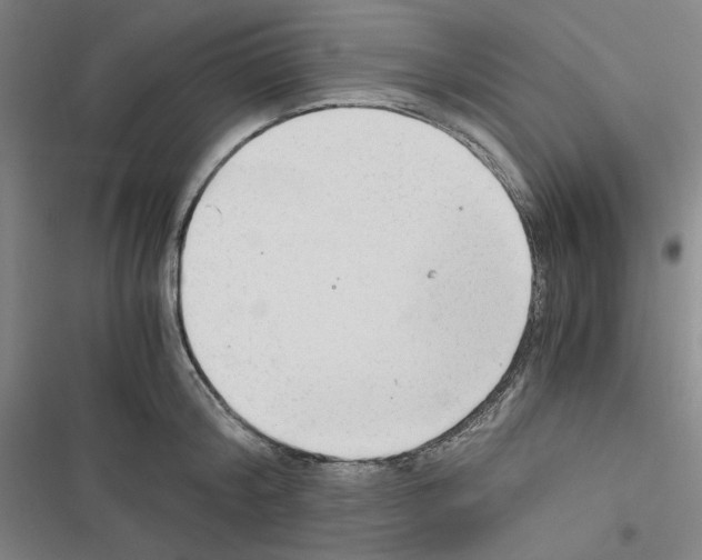 X0000116640804201001251135