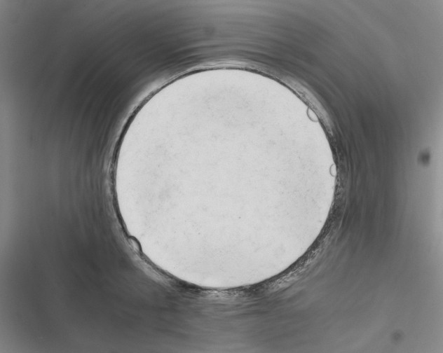 X0000116640805201001251135