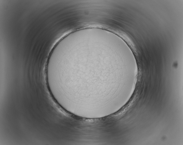 X0000116640806201001251135