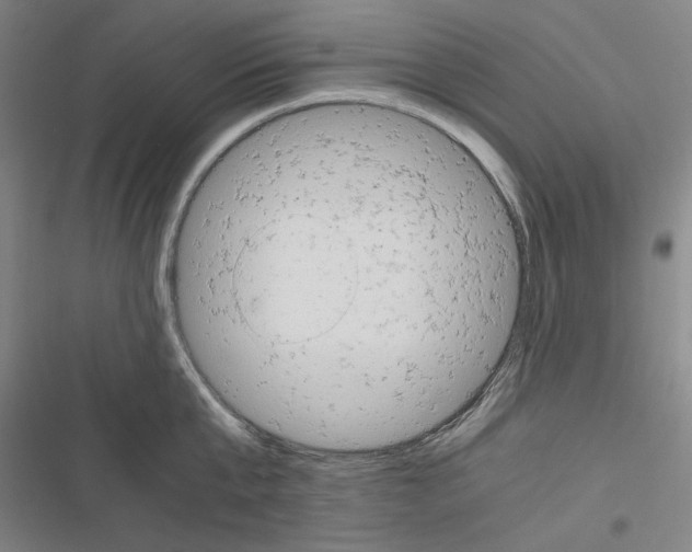 X0000116640807201001251135