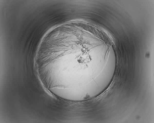 X0000116640808201001251135