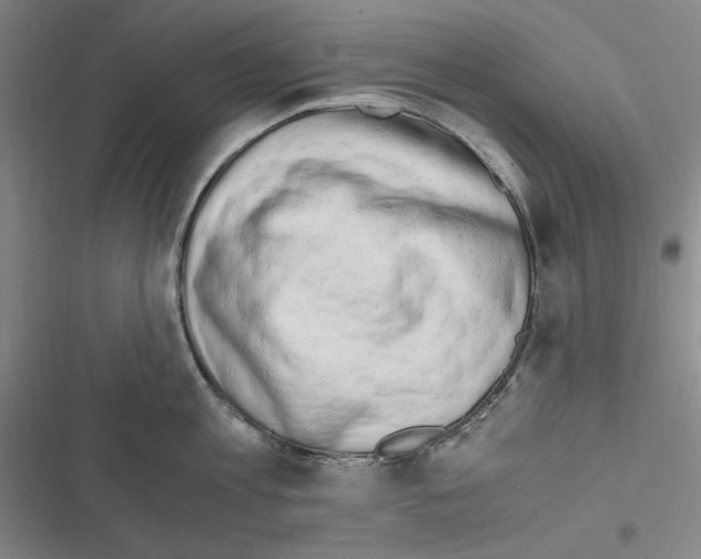 X0000116640813201001251134