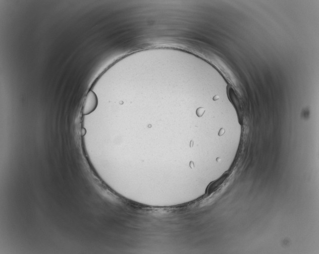 X0000116640814201001251134