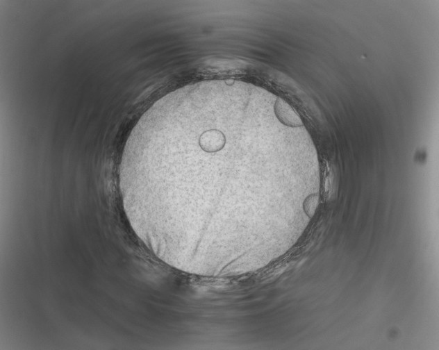 X0000116640819201001251134